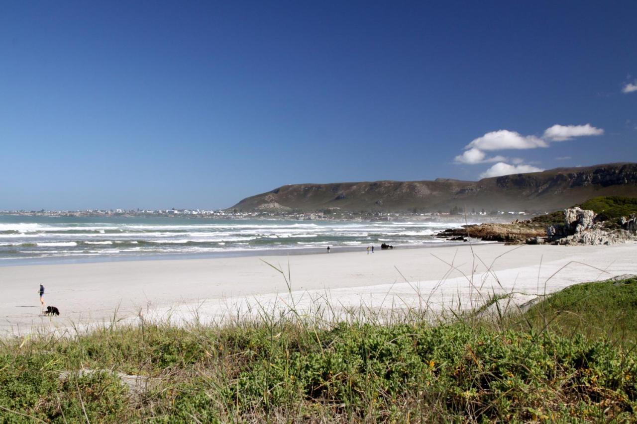 Lavender Manor Guest Lodge Hermanus Zewnętrze zdjęcie